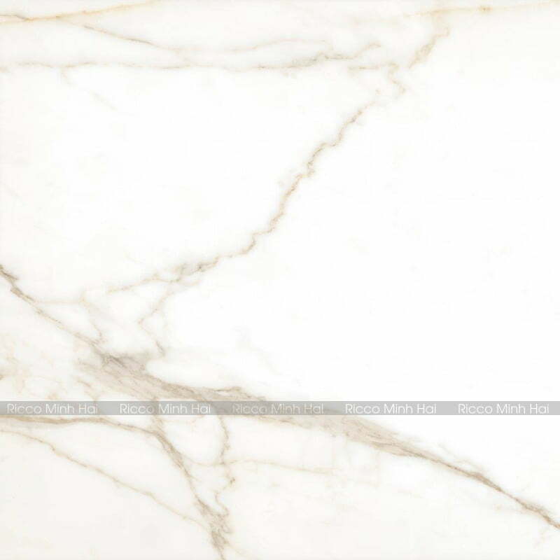 gach-tay-ban-nha-120x120-120THGOPO-1