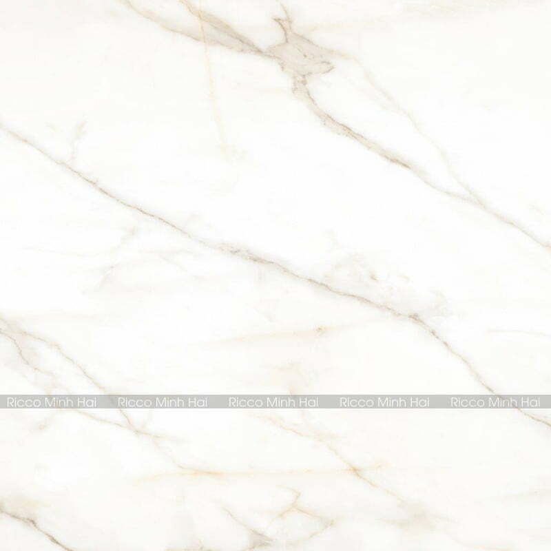 gach-tay-ban-nha-120x120-120THGOPO-2