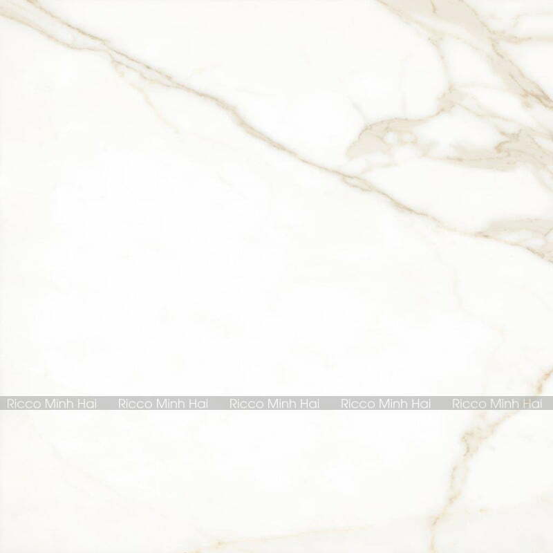 gach-tay-ban-nha-120x120-120THGOPO-3