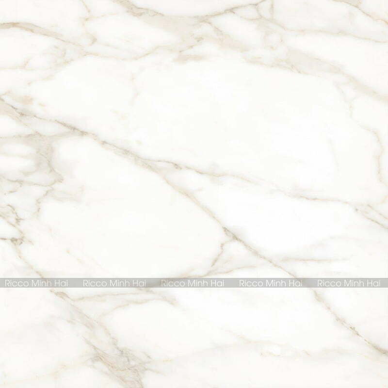 gach-tay-ban-nha-120x120-120THGOPO-4