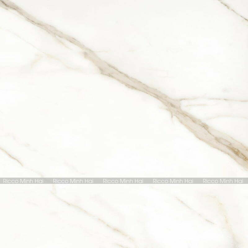 gach-tay-ban-nha-120x120-120THGOPO