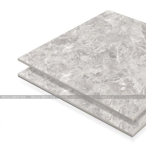gạch ốp lát hoàn mỹ 60x60 8401