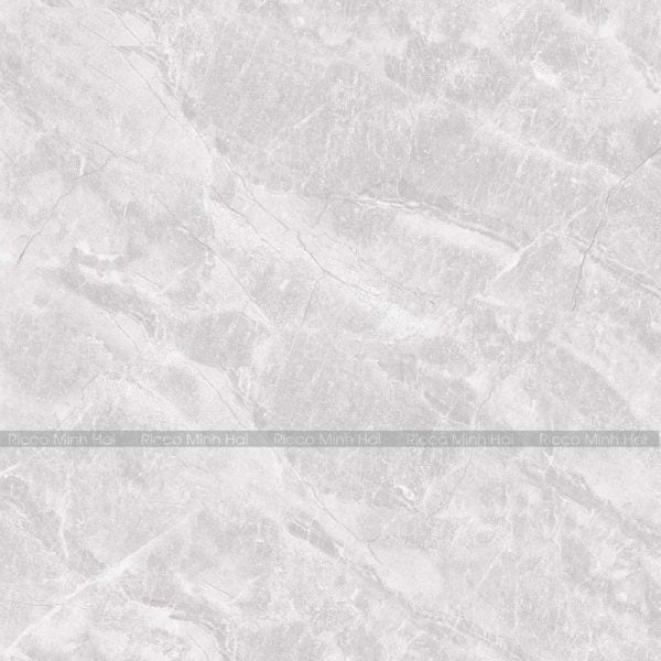 gạch ốp lát trung quốc 80x80 80V8863XT xám bóng