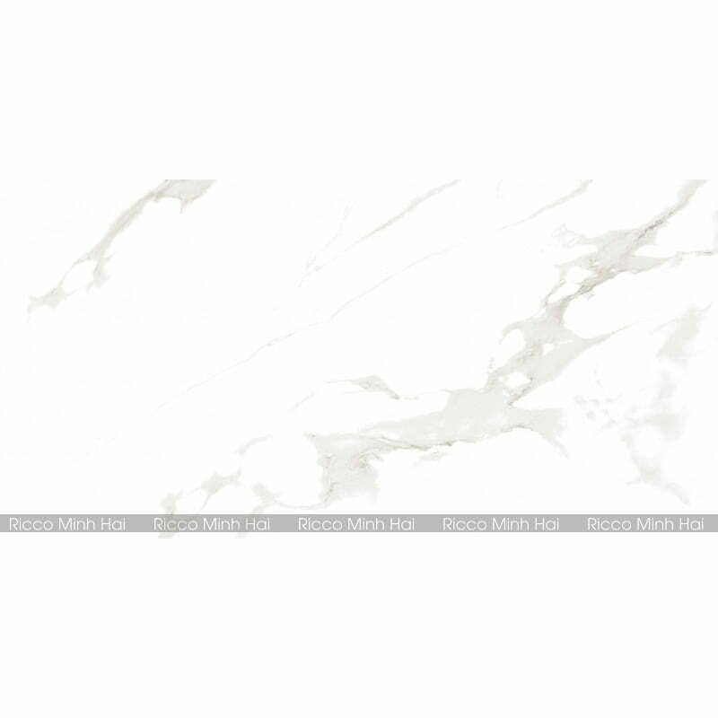 gach-prime-30x60-9561-1