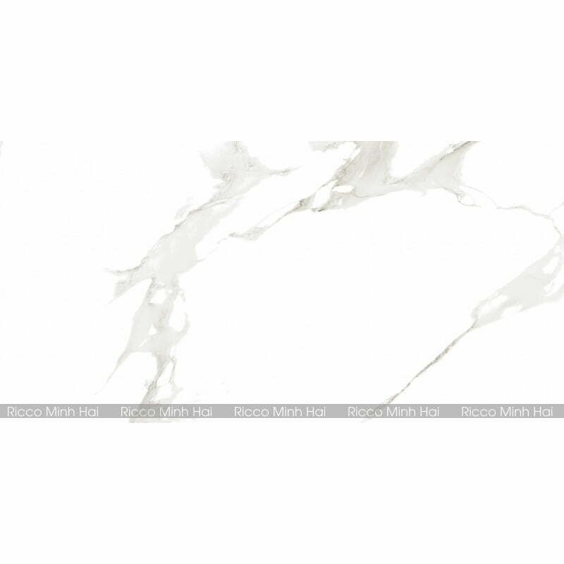 gach-prime-30x60-9561-2