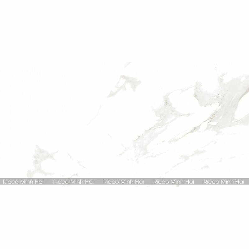 gach-prime-30x60-9561-5