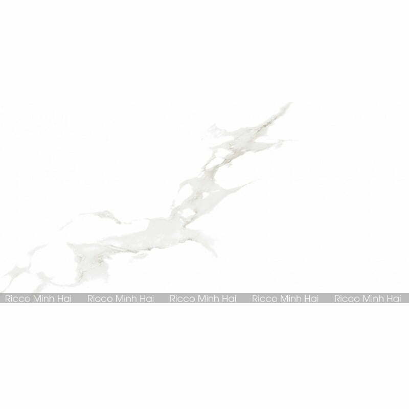 gach-prime-30x60-9561-6