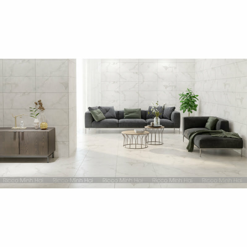 gach-prime-30x60-9561