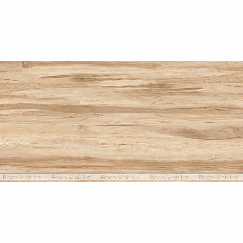 gach-prime-60x120-8317