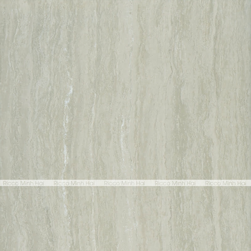 Gạch lát nền Taicera 80x80cm P87208N