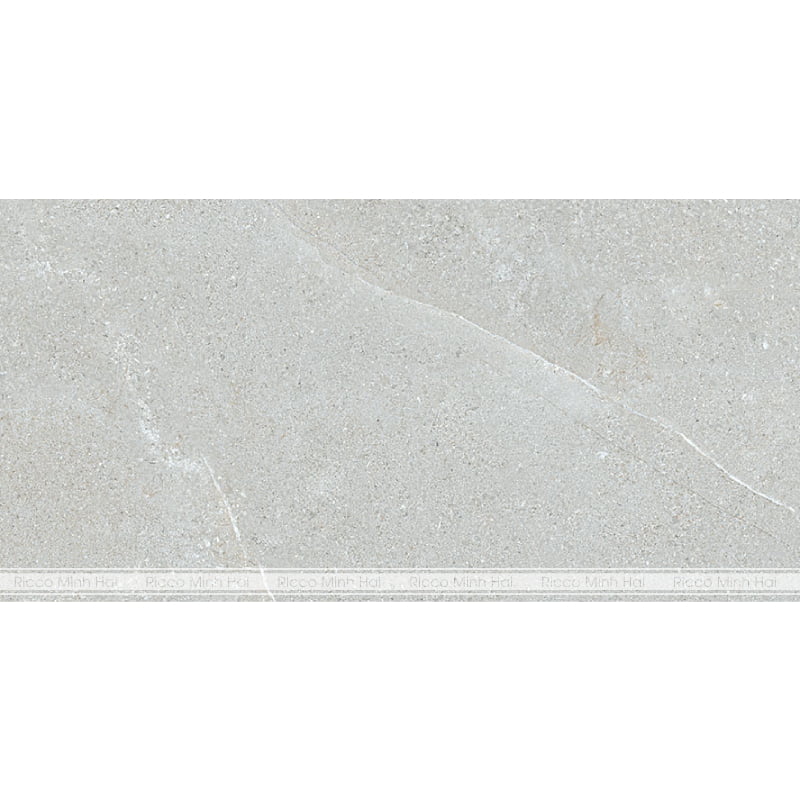 gach-lat-nen-eurotile-45x90-NGC I02-4