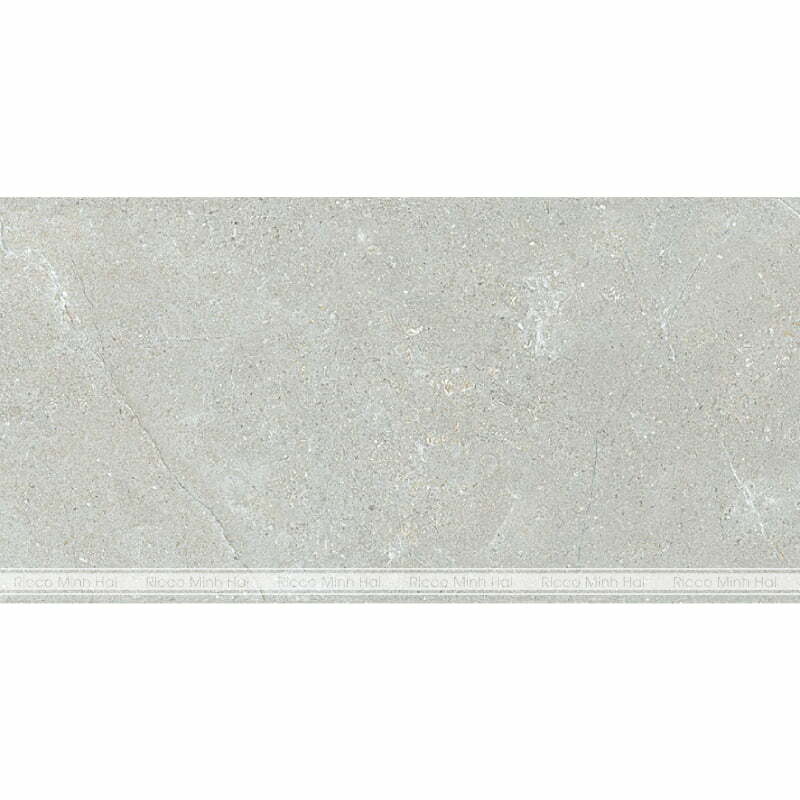 gach-lat-nen-eurotile-45x90-NGC I02