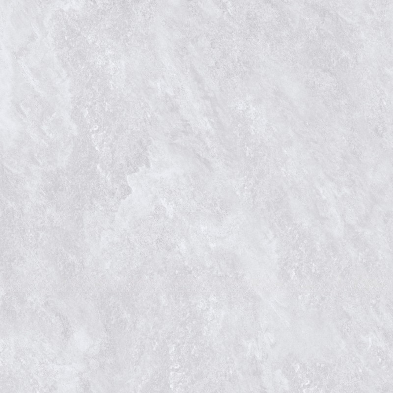 Vg8981