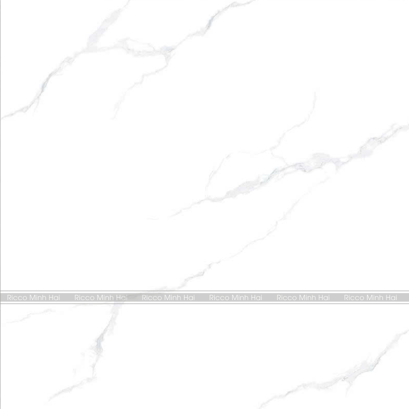 Gach-lat-nen-Takao-100x100-21101