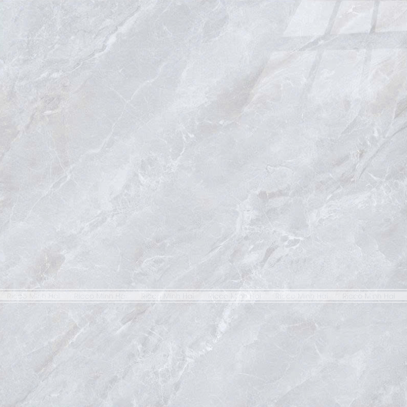 Gach-lat-nen-Takao-100x100-21104