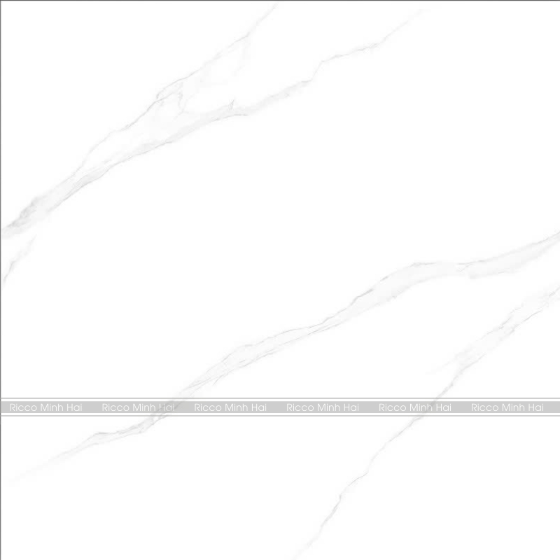 Gach-lat-nen-Takao-100x100-51110