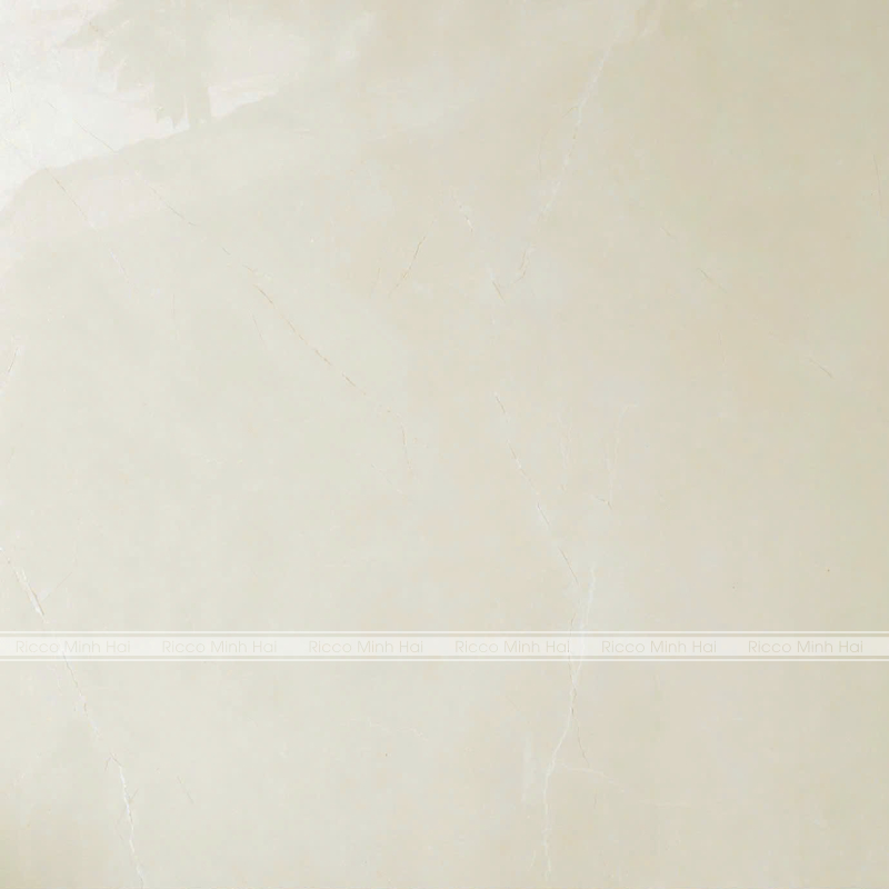 Gach-lat-nen-Tasa-100x100-ma-9806