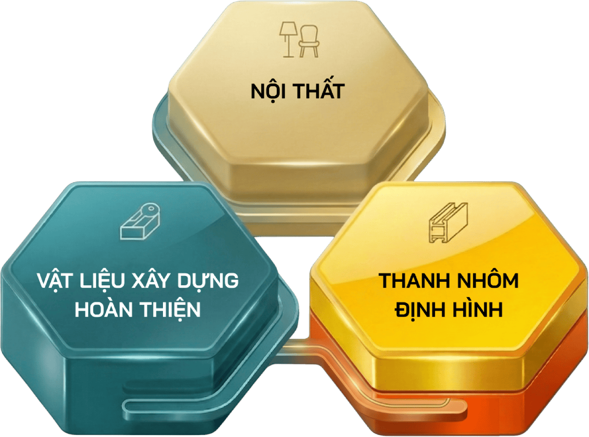 Linh Vuc Hoat Dong Ricco 5